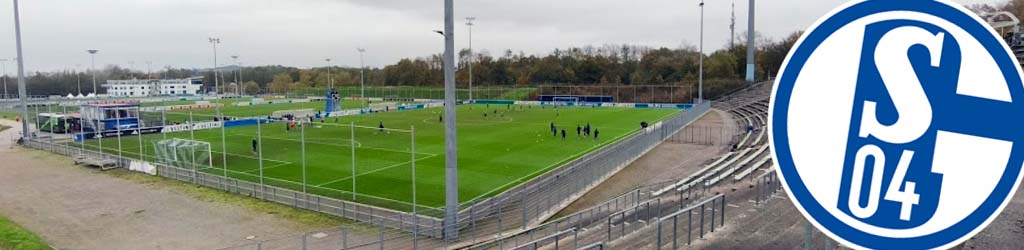 Das Neue Parkstadion Gelsenkirchen - Naturrasen